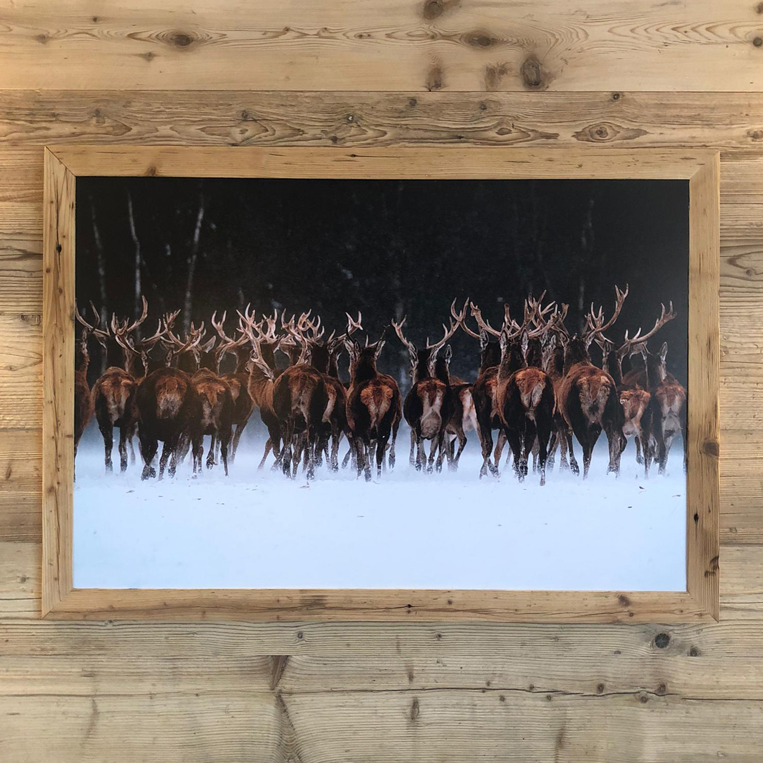 Quadri da montagna - cornice in legno vecchio foto di un branco di cervi